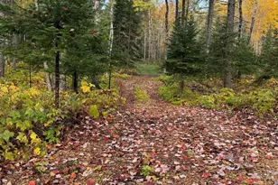 1504 Homestead Dr, Duluth, MN 55804 - Photo 59