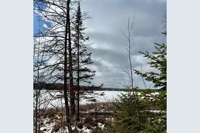 8157 E Stone Lake Rd, Zim, MN 55738 - Photo 17