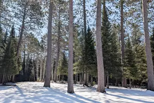 8854 River Rd, Angora, MN 55703 - Photo 29