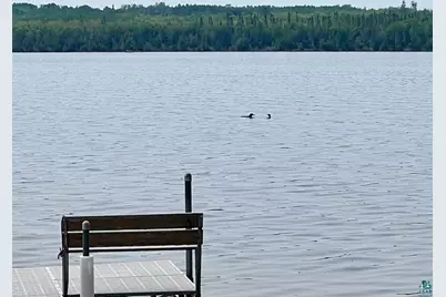 Tbd Pelican Lake Island, Orr, MN 55771 - Photo 21