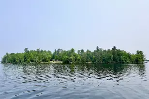 Tbd Pelican Lake Island, Orr, MN 55771 - Photo 29