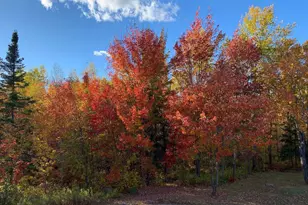2606 Bear Island Resort Rd, Babbitt, MN 55706 - Photo 79