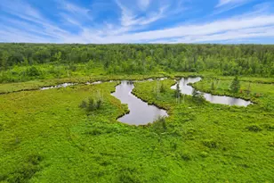 30269 110th Pl, Sturgeon Lake, MN 55783 - Photo 45