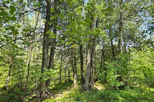 839 Loon Rd, Two Harbors, MN 55616 - Photo 25