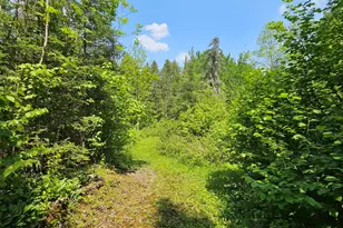 839 Loon Rd, Two Harbors, MN 55616 - Photo 21