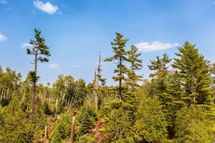 92 Erickson Trail, Tofte, MN 55615 - Photo 75