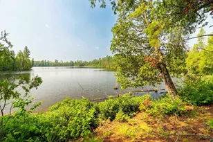 92 Erickson Trail, Tofte, MN 55615 - Photo 59