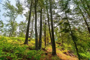 92 Erickson Trail, Tofte, MN 55615 - Photo 61