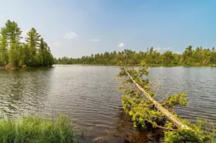 92 Erickson Trail, Tofte, MN 55615 - Photo 49