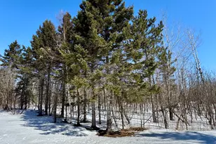 6269 Hwy 1, Finland, MN 55603 - Photo 21