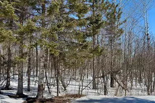 6269 Hwy 1, Finland, MN 55603 - Photo 23