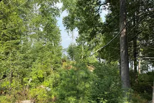 3003 Burntside Ridge Rd, Ely, MN 55731 - Photo 85