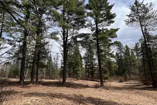 Xxxx Camp House Rd, Brimson, MN 55602 - Photo 1