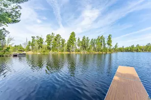 8433 Timber Bay Rd, Babbitt, MN 55706 - Photo 27