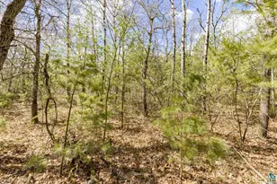115Xx S County Rd Y, Solon Springs, WI 54873 - Photo 23
