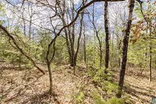 115Xx S County Rd Y, Solon Springs, WI 54873 - Photo 21