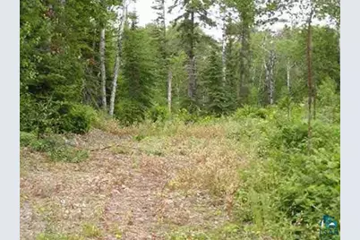 1687 Golden Ridge Tr, Ely, MN 55731 - Photo 5