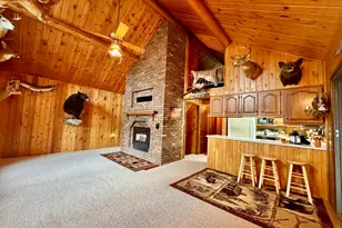 10261 Wein Rd, Cook, MN 55723 - Photo 9