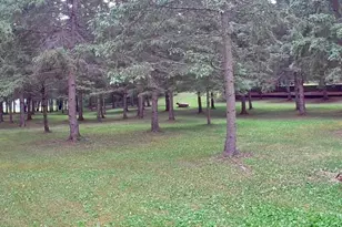 10261 Wein Rd, Cook, MN 55723 - Photo 31