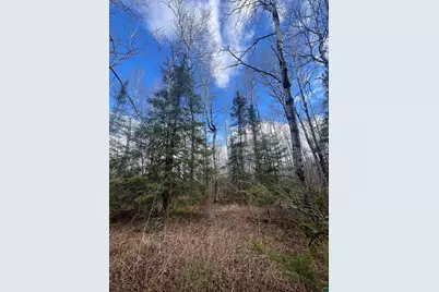 3520 Hwy 3, Two Harbors, MN 55616 - Photo 1