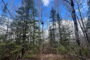 3520 Hwy 3, Two Harbors, MN 55616 - Photo 1
