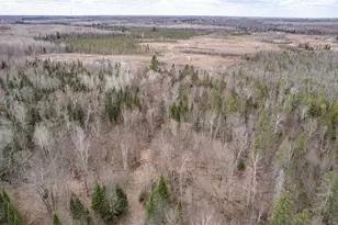9942 E Fire Tower Rd, Lake Nebagamon, WI 54849 - Photo 7