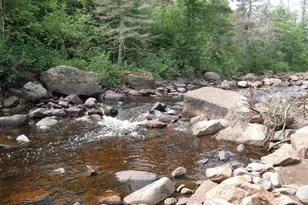 7185 Hwy 1, Finland, MN 55603 - Photo 9