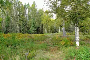 7185 Hwy 1, Finland, MN 55603 - Photo 65