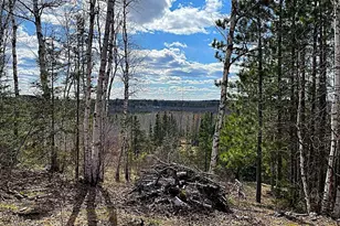 1480 Maijala Rd, Ely, MN 55731 - Photo 3