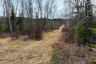 1480 Maijala Rd, Ely, MN 55731 - Photo 45