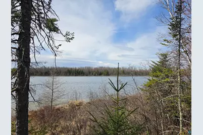 2217 Michael Beach Rd, Zim, MN 55738 - Photo 47