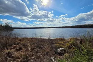 2217 Michael Beach Rd, Zim, MN 55738 - Photo 53