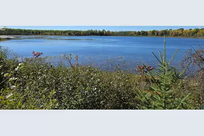 2217 Michael Beach Rd, Zim, MN 55738 - Photo 3
