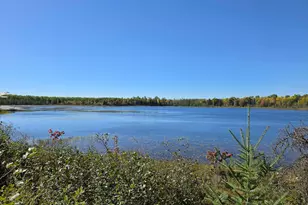 2217 Michael Beach Rd, Zim, MN 55738 - Photo 3
