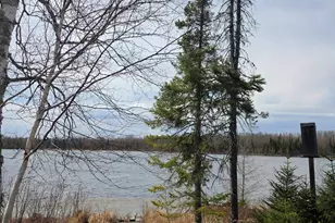 2217 Michael Beach Rd, Zim, MN 55738 - Photo 47