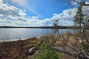 2217 Michael Beach Rd, Zim, MN 55738 - Photo 5