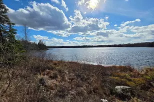 2217 Michael Beach Rd, Zim, MN 55738 - Photo 3