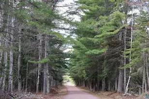 78815 State Hwy 13, Washburn, WI 54891 - Photo 29