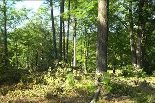 83Xxx Ashwabay Heights Rd, Bayfield, WI 54814 - Photo 3