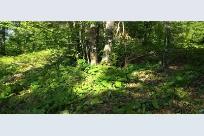 83Xxx Ashwabay Heights Rd, Bayfield, WI 54814 - Photo 9