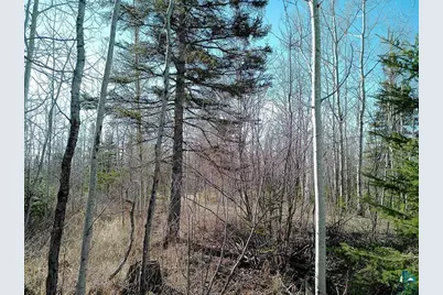 2Xx Overlook Tr, Tofte, MN 55615 - Photo 27