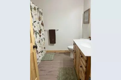 20411 County Rd 52, Cook, MN 55723 - Photo 29