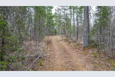 9999 Lindbeck Rd, Ely, MN 55731 - Photo 7