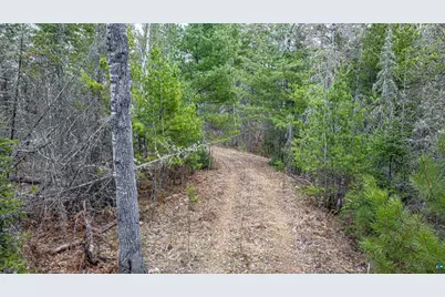 9999 Lindbeck Rd, Ely, MN 55731 - Photo 15