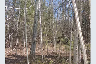 76Xx Gunflint Tr, Grand Marais, MN 55604 - Photo 11