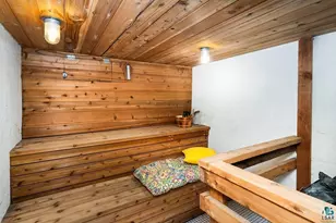 840 Lake Ave S, Duluth, MN 55802 - Photo 43