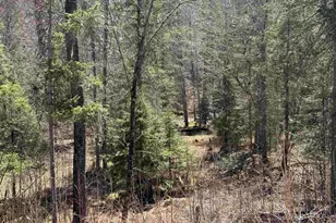 77410 Kaukamo Rd, Orienta, WI 54847 - Photo 21