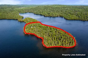 Xx Greenwood Lake Rd, Grand Marais, MN 55604 - Photo 39
