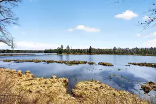 Lot 5 & 6 Peterson Rd, Wascott, WI 54859 - Photo 1