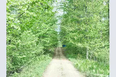 Lot 1 Peterson Rd, Wascott, WI 54859 - Photo 5